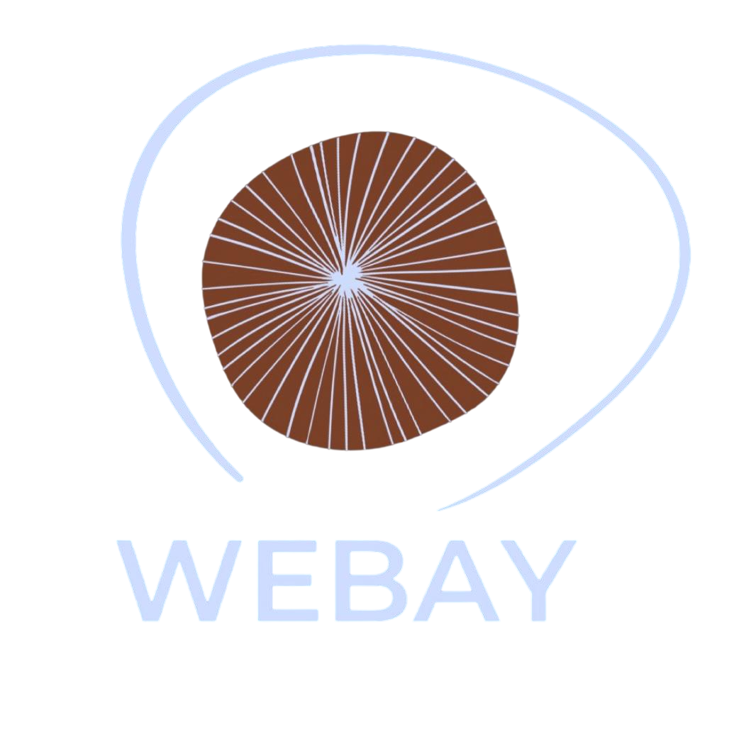 WeBay Academy Logo